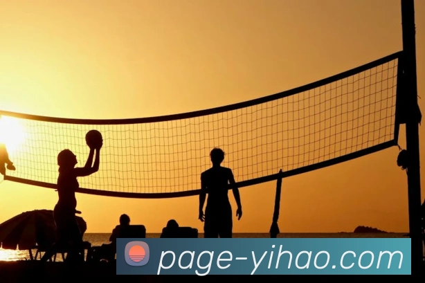 App Interface Preview