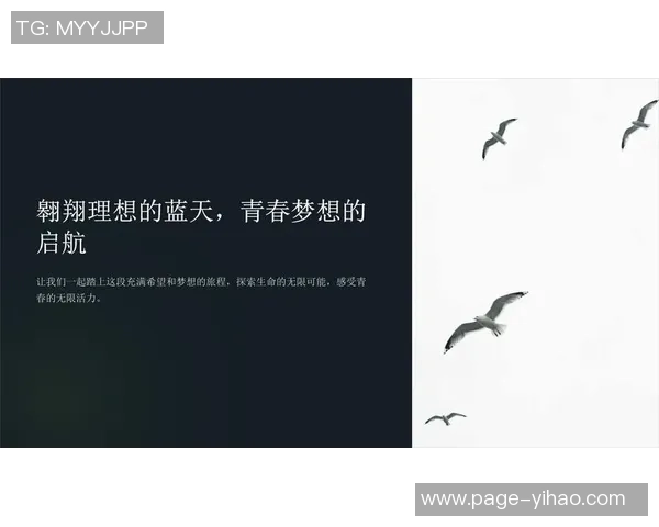 301梦想与飞马的激情碰撞探索未来的无限可能与梦想实现之路