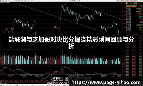 盐城湖与芝加哥对决比分揭晓精彩瞬间回顾与分析