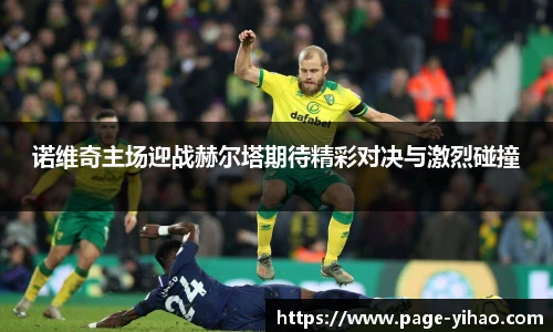 诺维奇主场迎战赫尔塔期待精彩对决与激烈碰撞